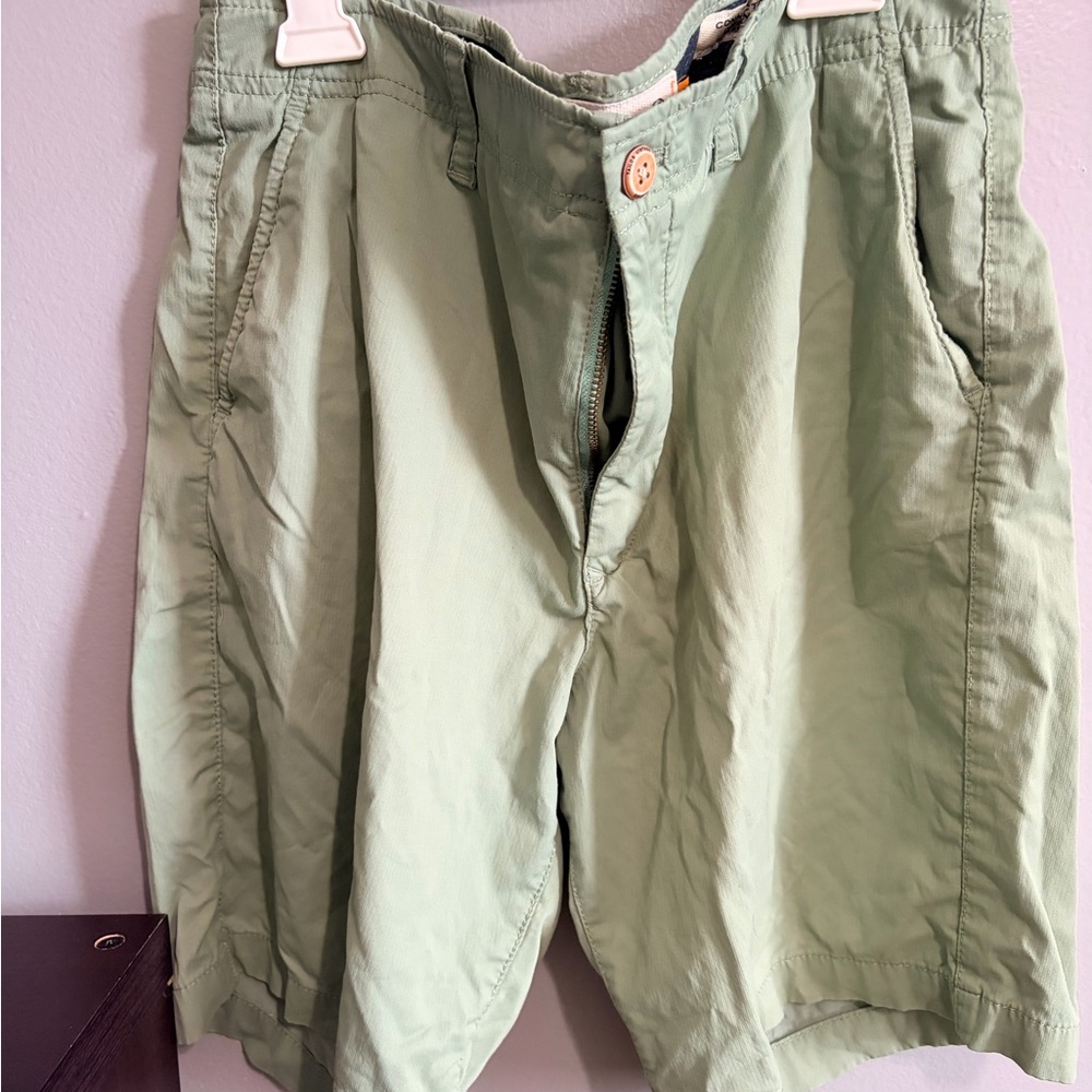 Tailor Vintage Light Green Flat Front Shorts